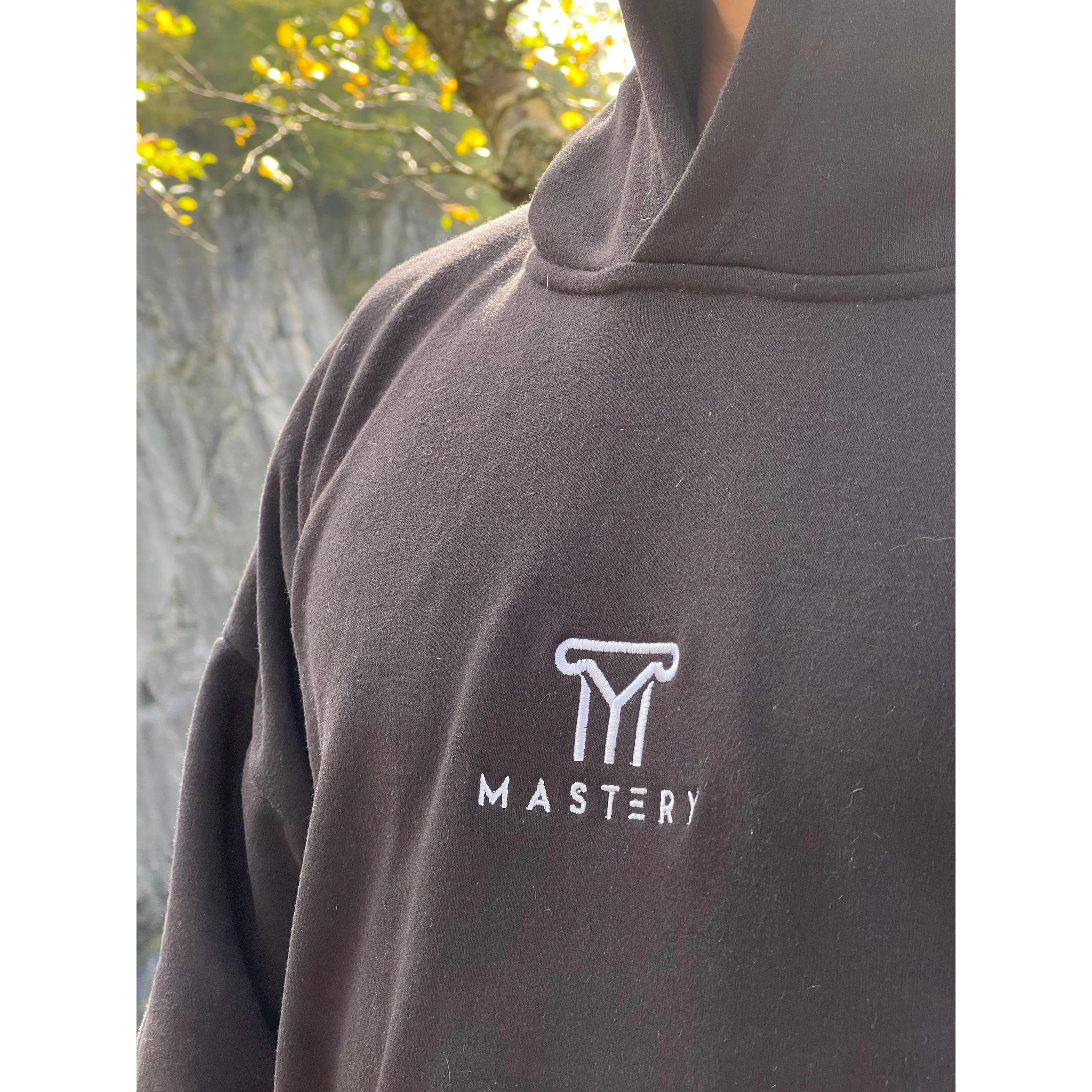 Mastery Logo Hoodie